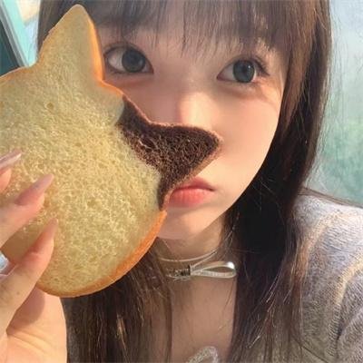 齐姆与友